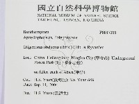 登錄號:F0017355藏品圖，第2張