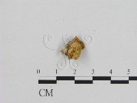 登錄號:F0017355藏品圖，第3張