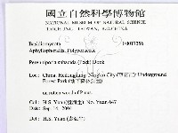 登錄號:F0017356藏品圖，第2張