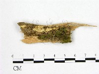登錄號:F0017356藏品圖，第1張