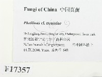 登錄號:F0017357藏品圖，第2張