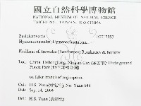 登錄號:F0017357藏品圖，第3張