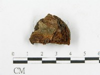 登錄號:F0017357藏品圖，第1張