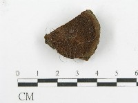 登錄號:F0017357藏品圖，第4張