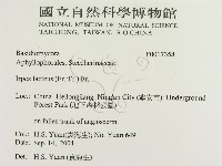 登錄號:F0017358藏品圖，第2張