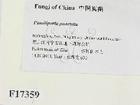 登錄號:F0017359藏品圖，第2張