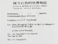 登錄號:F0017359藏品圖，第3張