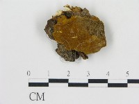 登錄號:F0017359藏品圖，第1張