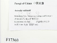 登錄號:F0017360藏品圖，第2張