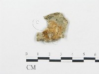 登錄號:F0017360藏品圖，第1張