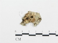 登錄號:F0017360藏品圖，第4張