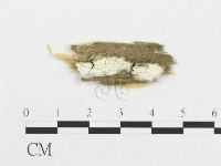 登錄號:F0017361藏品圖，第1張