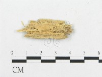 登錄號:F0017361藏品圖，第4張