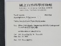 登錄號:F0017362藏品圖，第2張