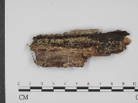 登錄號:F0017362藏品圖，第1張