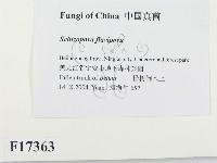 登錄號:F0017363藏品圖，第2張