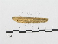 登錄號:F0017363藏品圖，第1張