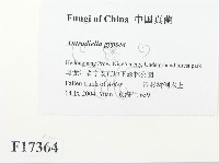 登錄號:F0017364藏品圖，第2張