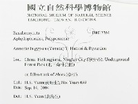 登錄號:F0017364藏品圖，第3張