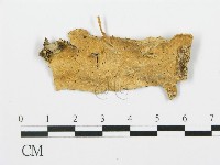 登錄號:F0017364藏品圖，第1張