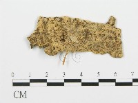 登錄號:F0017364藏品圖，第4張