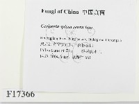 登錄號:F0017366藏品圖，第2張