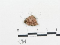 登錄號:F0017366藏品圖，第1張
