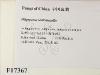 登錄號:F0017367藏品圖，第2張
