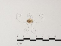 登錄號:F0017367藏品圖，第3張