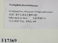 登錄號:F0017369藏品圖，第2張