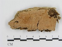 登錄號:F0017371藏品圖，第1張