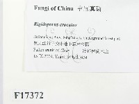 登錄號:F0017372藏品圖，第2張