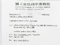 登錄號:F0017372藏品圖，第3張