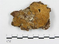 登錄號:F0017372藏品圖，第1張