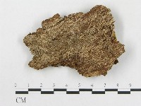 登錄號:F0017372藏品圖，第4張
