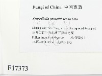 登錄號:F0017373藏品圖，第2張