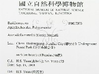 登錄號:F0017373藏品圖，第3張