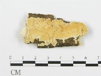 登錄號:F0017373藏品圖，第1張