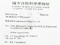 登錄號:F0017374藏品圖，第3張