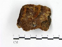 登錄號:F0017374藏品圖，第1張