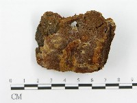 登錄號:F0017374藏品圖，第4張