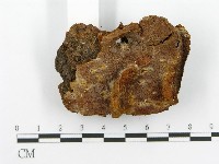 登錄號:F0017374藏品圖，第5張