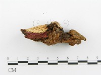 登錄號:F0017374藏品圖，第6張
