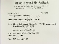 登錄號:F0017375藏品圖，第2張