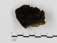 登錄號:F0017375藏品圖，第1張