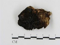 登錄號:F0017375藏品圖，第3張