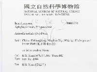 登錄號:F0017376藏品圖，第3張