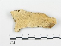 登錄號:F0017376藏品圖，第1張