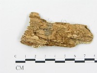 登錄號:F0017376藏品圖，第4張