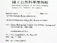 登錄號:F0017377藏品圖，第2張